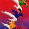3 Ninjas Kick Back | Fandíme filmu