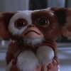 Gremlins: Chystá se trojka | Fandíme filmu