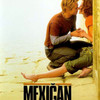 Mexičan | Fandíme filmu