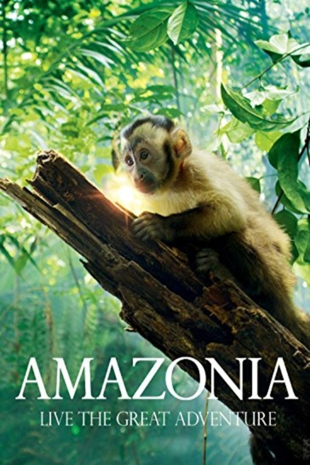 Amazonia | Fandíme filmu