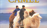 Die Geschichte vom weinenden Kamel | Fandíme filmu