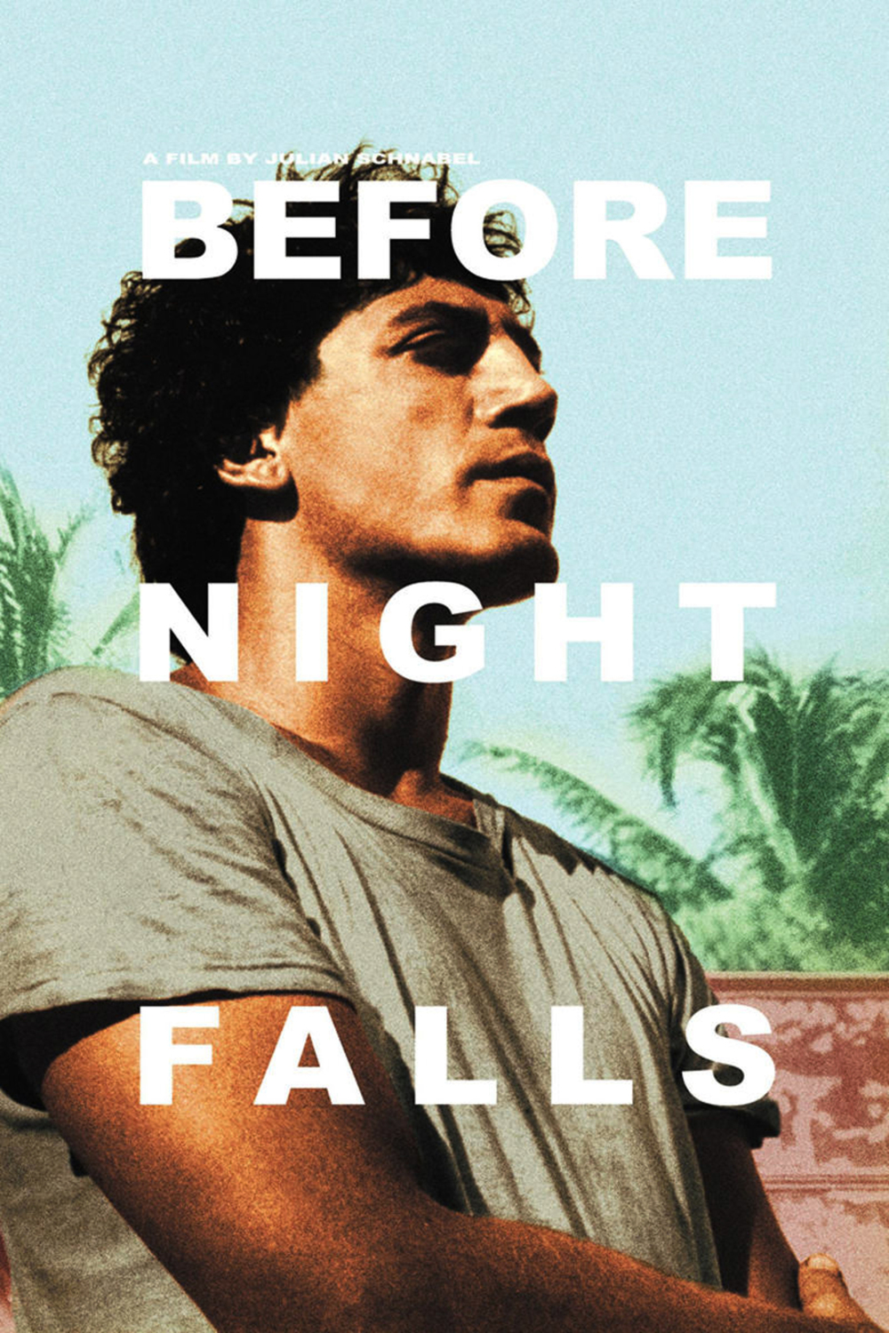 Before Night Falls | Fandíme filmu