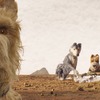 Isle of Dogs: Animovaná novinka Wese Andersona je okouzlující | Fandíme filmu