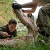 Annihilation: Super Bowl trailer zdůrazňuje měřítko | Fandíme filmu