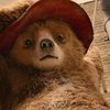 Paddington: Dobrodružství roztomilého médi bude pokračovat | Fandíme filmu