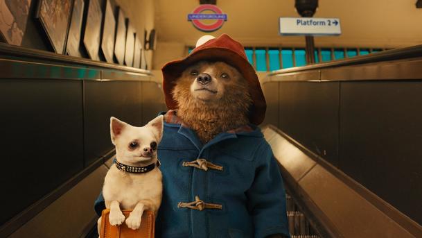 Paddington 2: Roztomilý medvěd chytá zloděje v novém traileru | Fandíme filmu