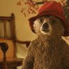Paddington: Dobrodružství roztomilého médi bude pokračovat | Fandíme filmu