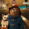 Paddington 2: Roztomilý medvěd chytá zloděje v novém traileru | Fandíme filmu