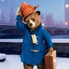 Paddington: Dobrodružství roztomilého médi bude pokračovat | Fandíme filmu