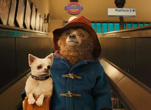 Paddington 4: Méďův návrat píše autor zatraceně řízných komedií | Fandíme filmu