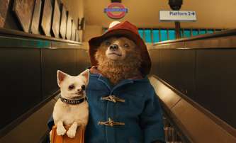 Paddington 4: Méďův návrat píše autor zatraceně řízných komedií | Fandíme filmu