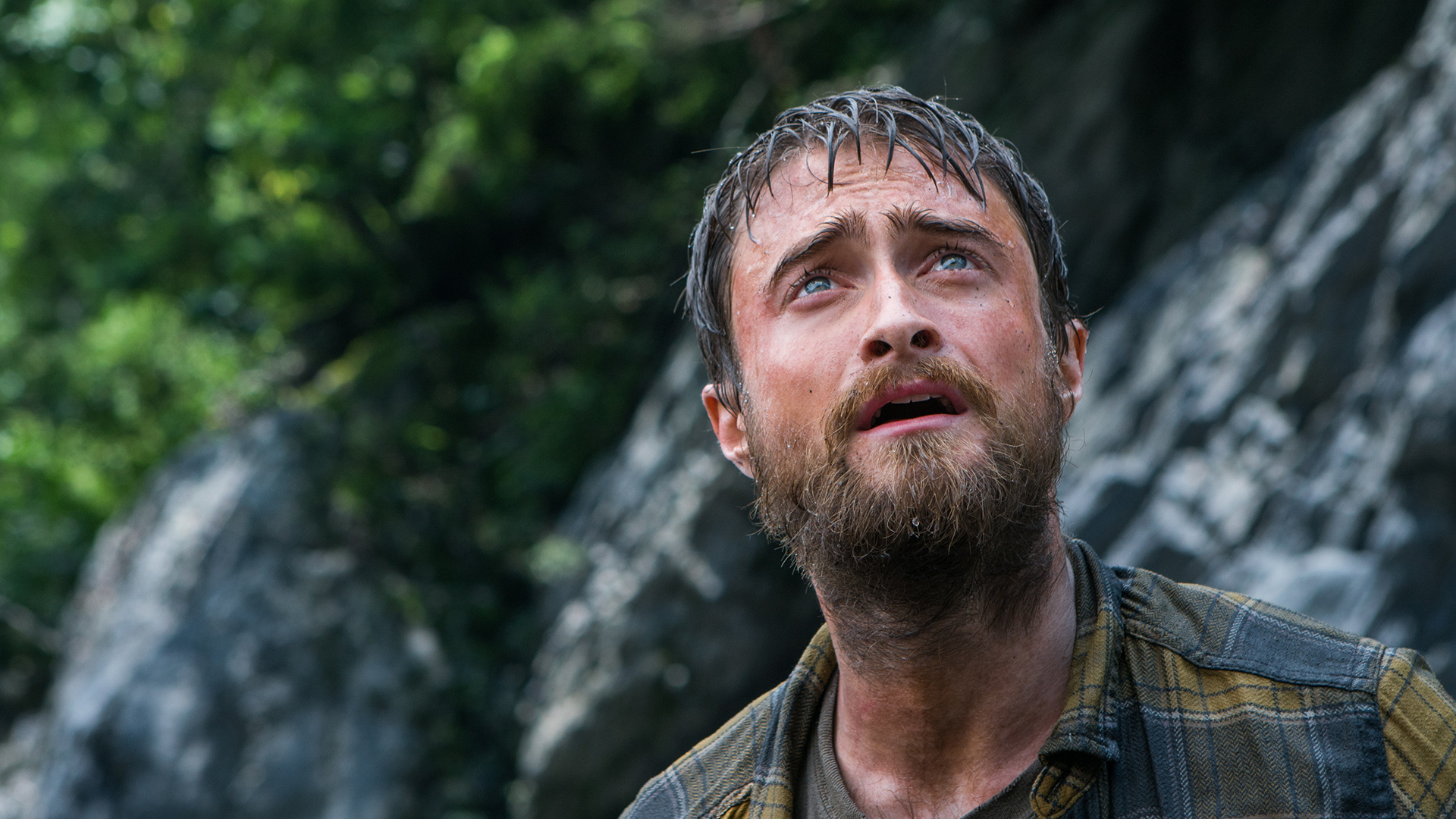 Jungle: Daniel Radcliffe bude bojovat o přežití