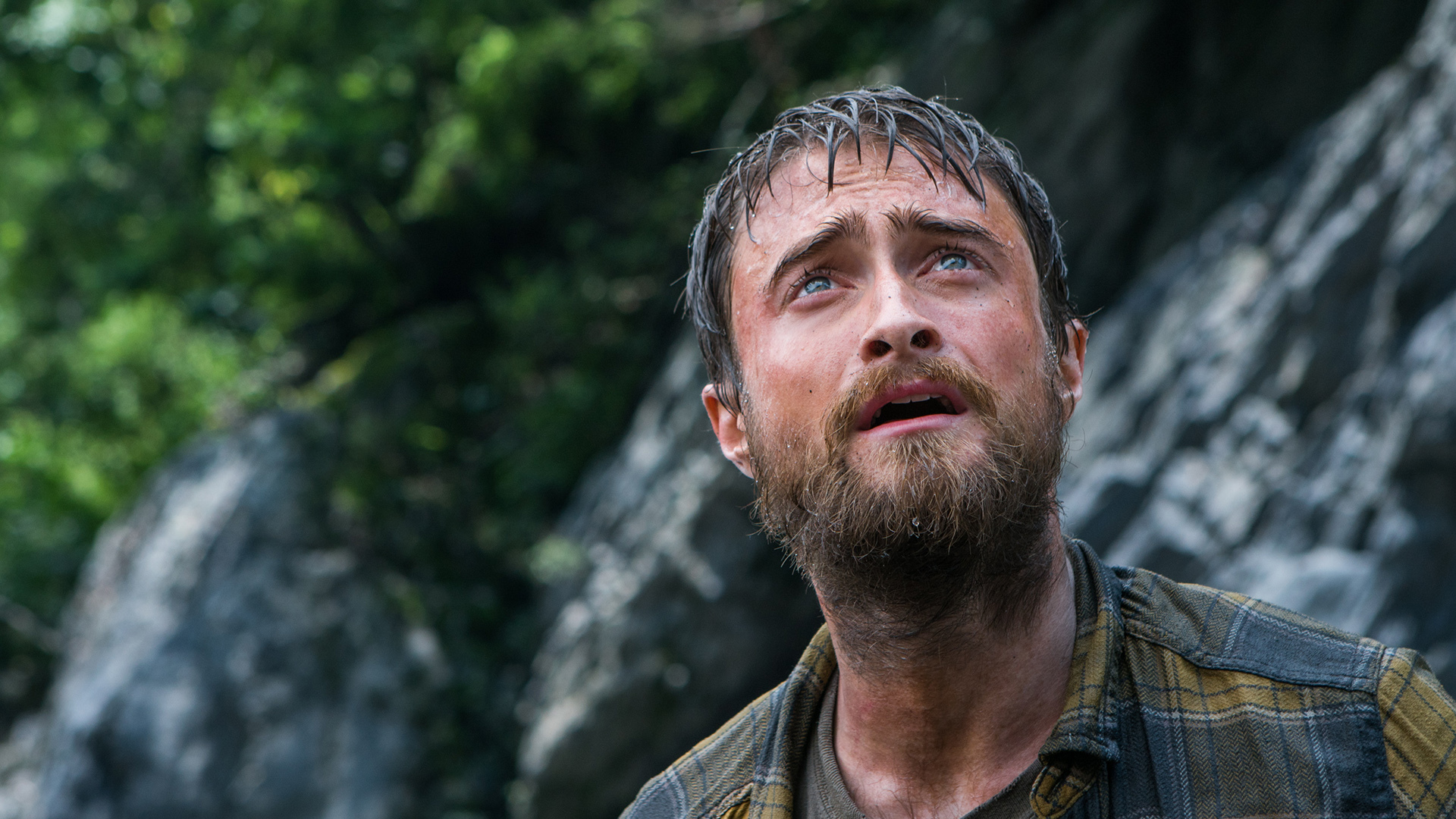 Jungle: Daniel Radcliffe bude bojovat o přežití | Fandíme filmu