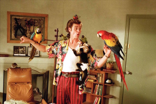 Ace Ventura: Zvířecí detektiv: Chystá se nový film | Fandíme filmu