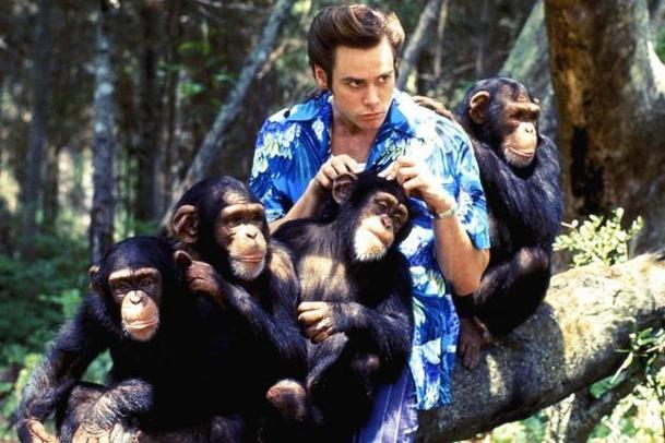 Ace Ventura: Zvířecí detektiv: Chystá se nový film | Fandíme filmu