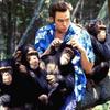 Ace Ventura: Zvířecí detektiv: Chystá se nový film | Fandíme filmu