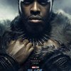 Black Panther: 11 parádních character posterů | Fandíme filmu