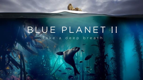 Modrá Planeta II: Nezapomeňte se nadechnout | Fandíme serialům
