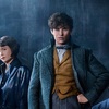Eddie Redmayne málem hrál záporáka v Harrym Potterovi | Fandíme filmu