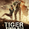 Tiger Zinda Hai | Fandíme filmu