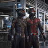 Ant-Man & the Wasp na nové oficiální fotce | Fandíme filmu