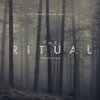 The Ritual: Hororová výprava do lesa skončí po vzoru Blair Witch | Fandíme filmu