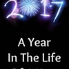 2017: A Year in the Life of a Year | Fandíme filmu