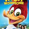 Woody Woodpecker | Fandíme filmu