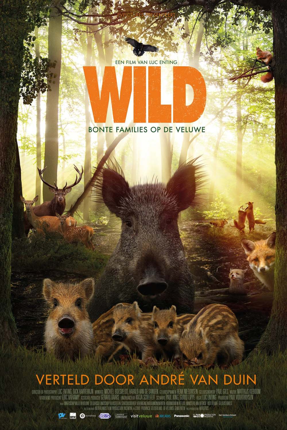 Wild | Fandíme filmu