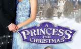 A Princess for Christmas | Fandíme filmu