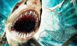Žraločí invaze | Fandíme filmu