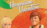 Havajské prázdniny | Fandíme filmu