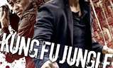 Kung Fu Jungle | Fandíme filmu
