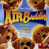 Air Buddies - Štěnata | Fandíme filmu