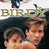 Birdy | Fandíme filmu