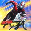 Ant-Man & The Wasp: Trailer máme čekat ještě dnes | Fandíme filmu