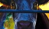 Cowspiracy - Klíč k udržitelnosti | Fandíme filmu
