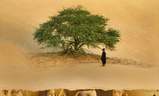 Timbuktu | Fandíme filmu