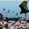 Birdemic: Shock and Terror | Fandíme filmu