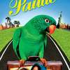 Papoušek Paulie | Fandíme filmu