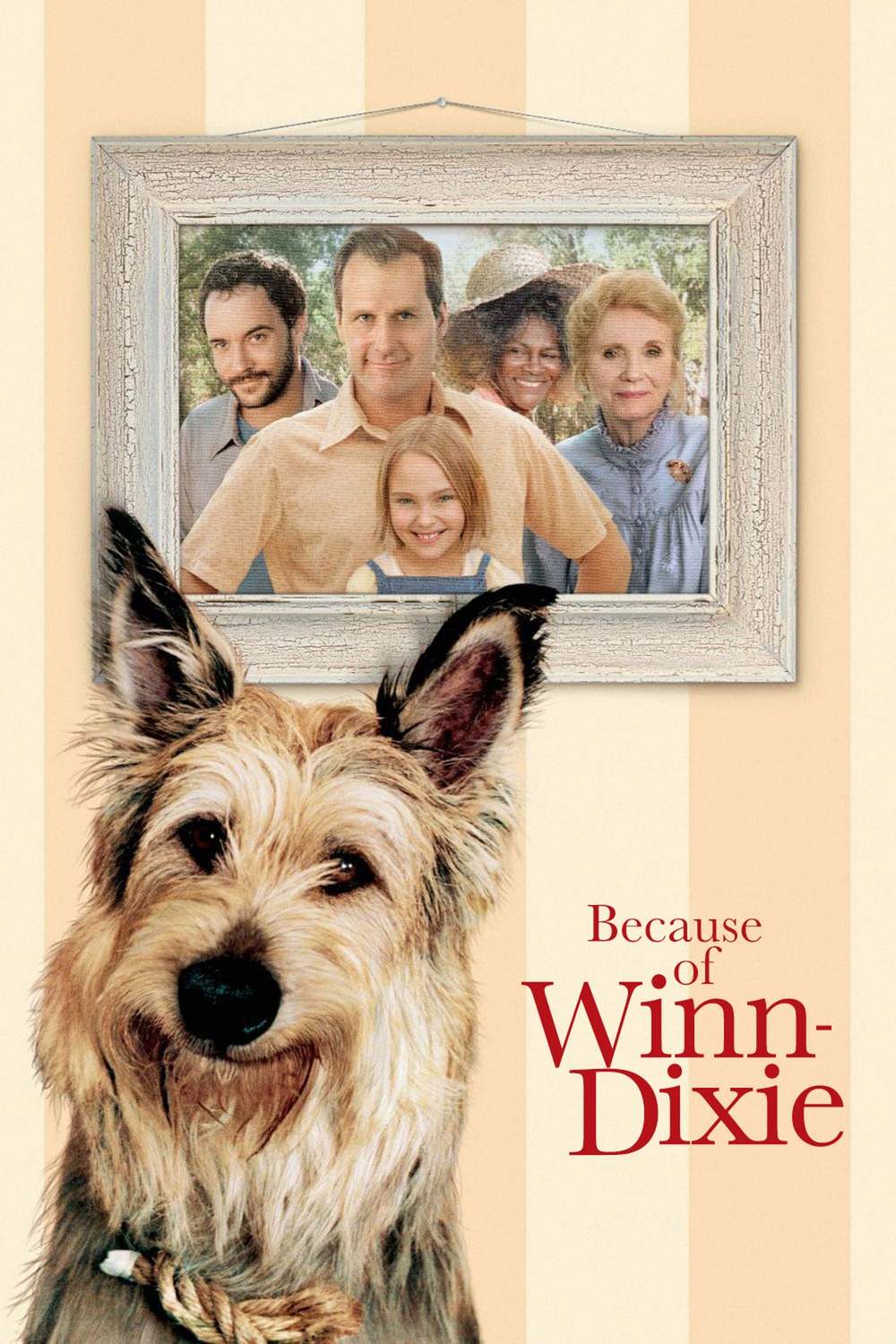 Because of Winn-Dixie | Fandíme filmu