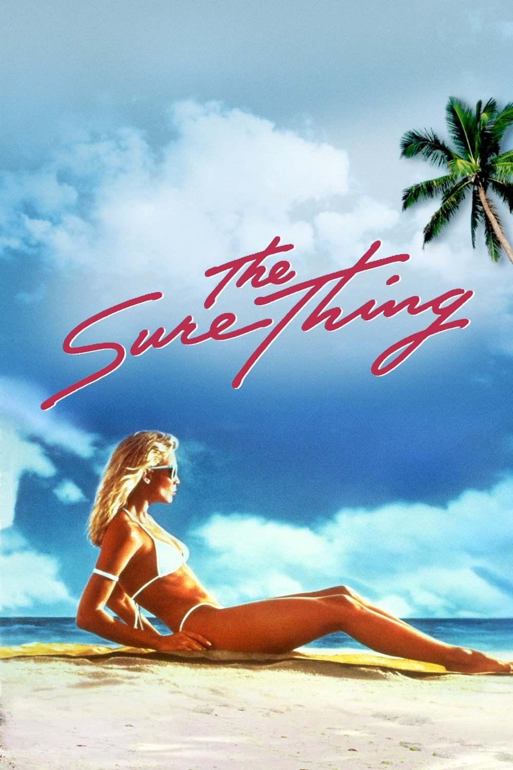 The Sure Thing | Fandíme filmu