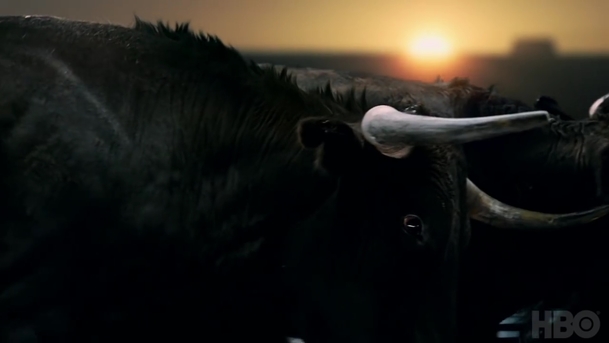 Westworld: Superbowl trailer odhalil datum premiéry 2. řady | Fandíme serialům