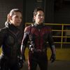 Ant-Man: Quantumania – Bill Murray potvrdil účast v příští marvelovce | Fandíme filmu