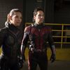 Ant-Man & The Wasp: Pořádný trailer na první film po Infinity War | Fandíme filmu