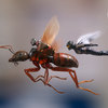 Ant-Man & The Wasp: Podrobnosti o záporákovi a zápletce | Fandíme filmu