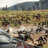 Recenze: Avengers: Infinity War | Fandíme filmu