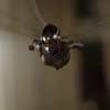 Ant-Man & The Wasp: Pořádný trailer na první film po Infinity War | Fandíme filmu