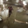 Ant-Man & The Wasp: Pořádný trailer na první film po Infinity War | Fandíme filmu