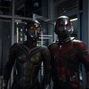 Ant-Man & The Wasp: Pořádný trailer na první film po Infinity War | Fandíme filmu